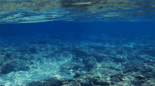 under the surface of water gif