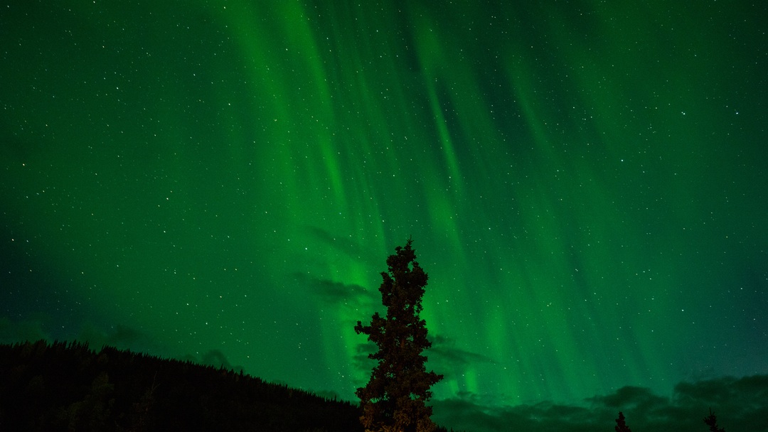 green night