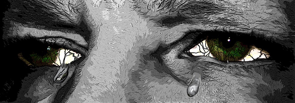eyes